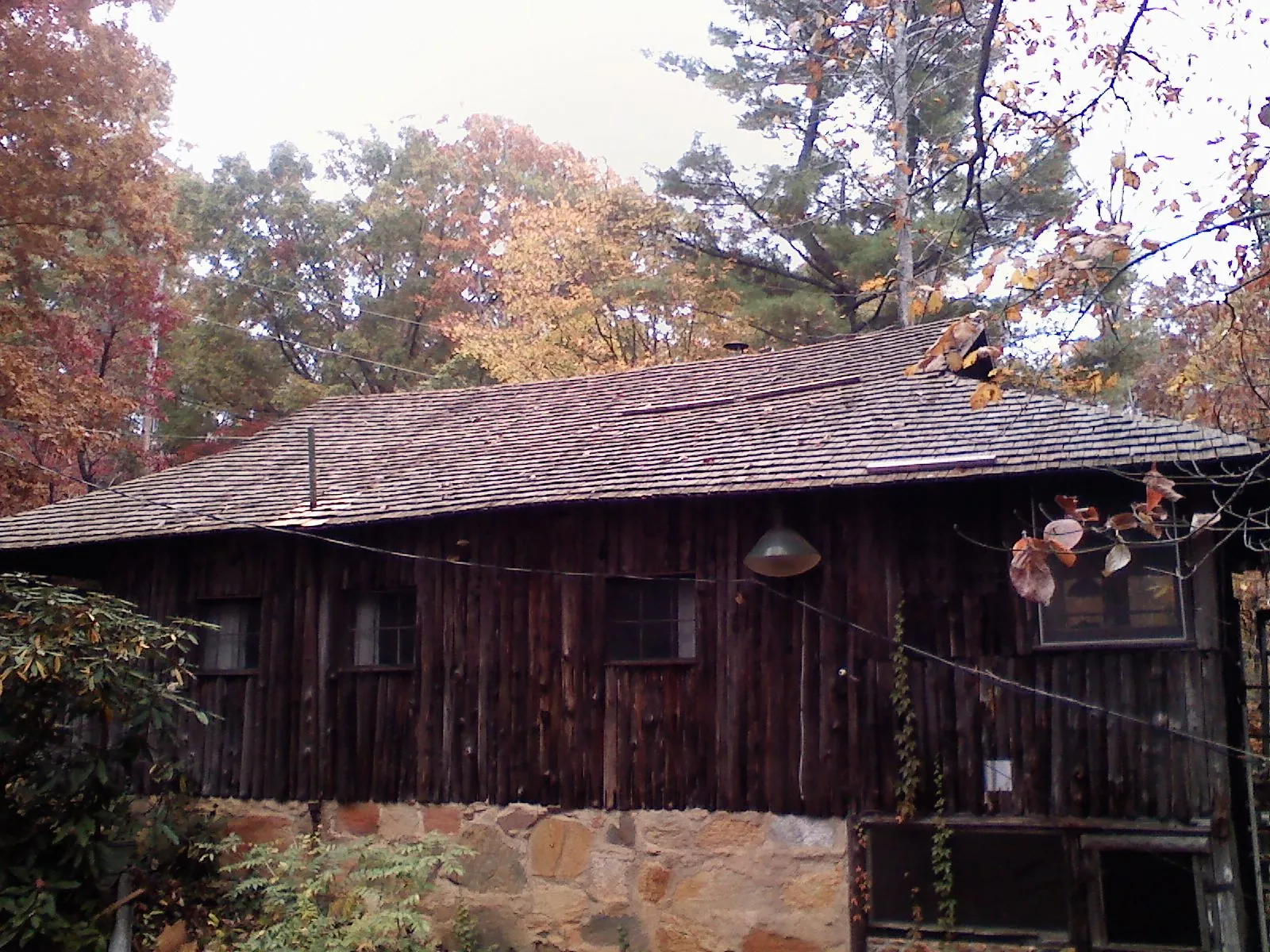 Weathered wood shake roof on a rustic board sided cabin in Irrigon